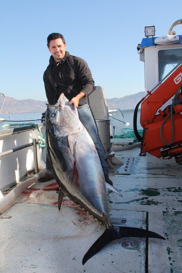 Atlantic Bluefin Tuna